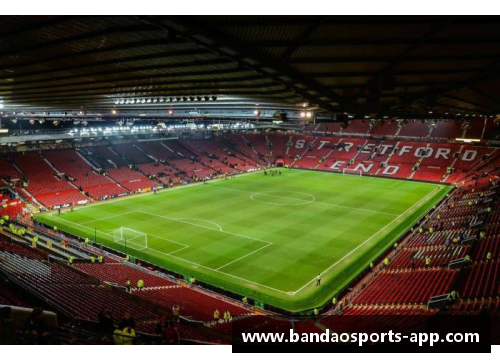 球场内外：巅峰时刻与挑战之路