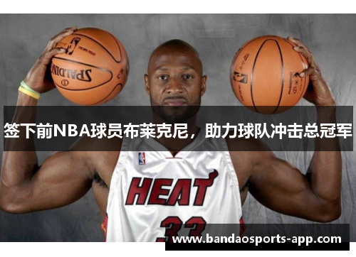 签下前NBA球员布莱克尼，助力球队冲击总冠军