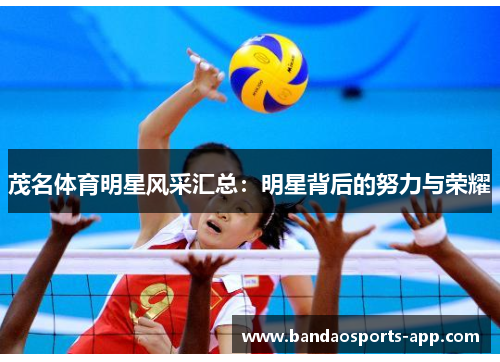 茂名体育明星风采汇总：明星背后的努力与荣耀